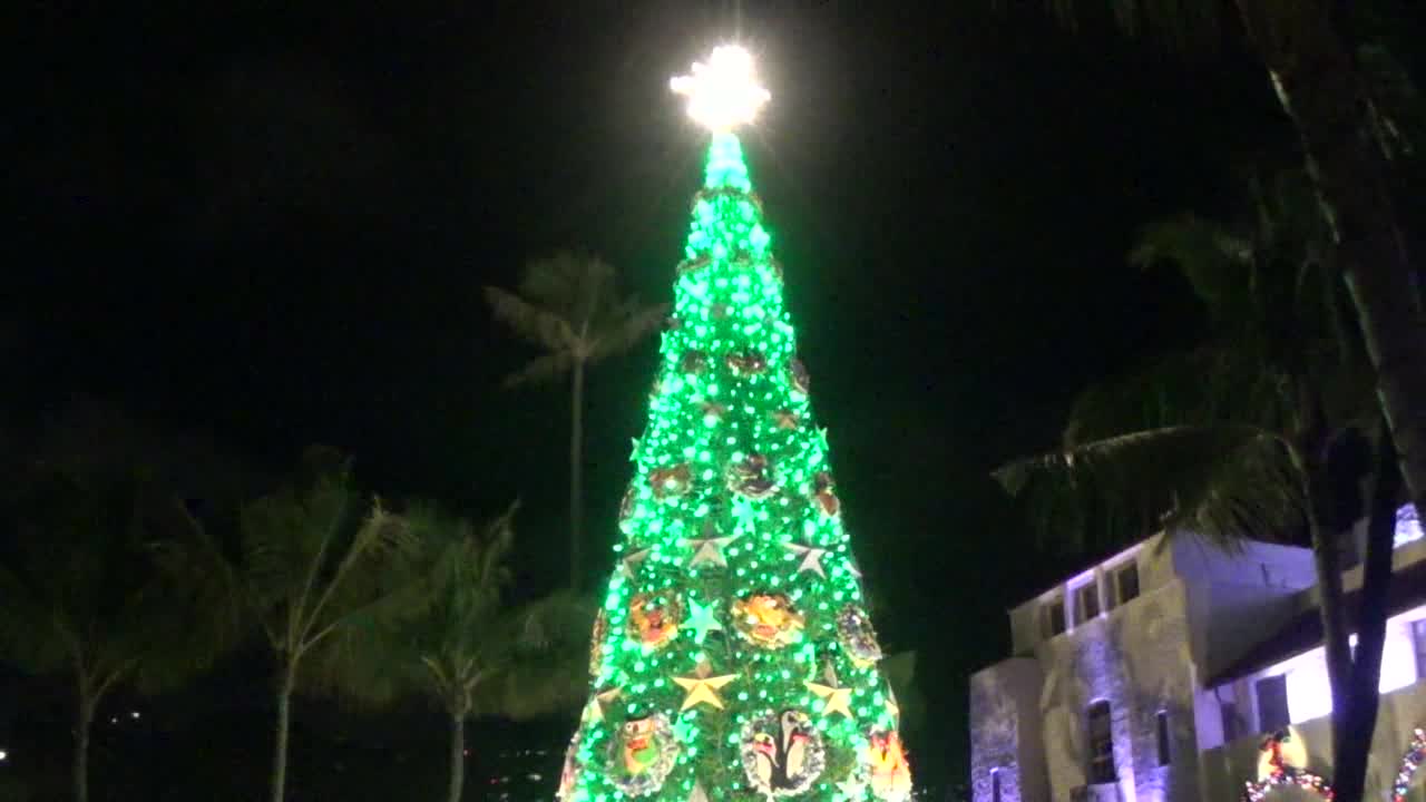 Honolulu City Lights 2018 #2