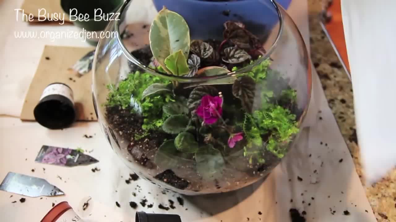 Bee Crafty: DIY Mini Terrarium (2013-04-26)