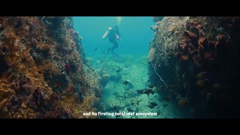 Raja Ampat -The King Of Ocean