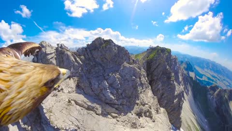 Eagle POV flying over the alps