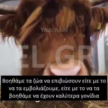 Συνεργασία DFID και BILL GATES για αυτά που θα τρώμε – Παρέμβαση στα ίδια τα ζώα