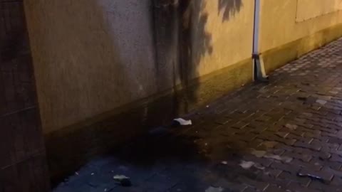 Zjarr te komisariati i Elbasanit