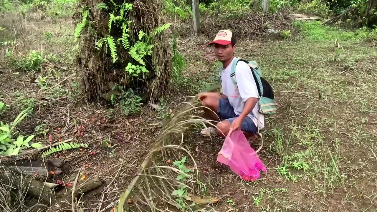 Fishing