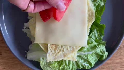 Low-Carb Wrap