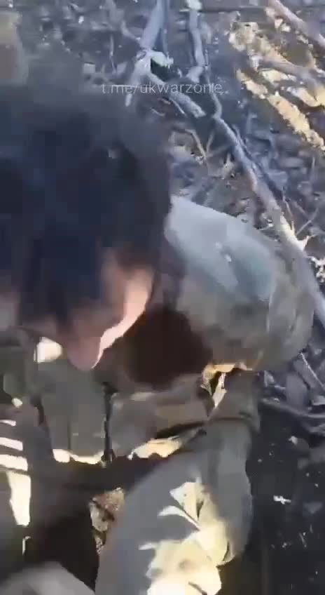 Ukrainian War crimes