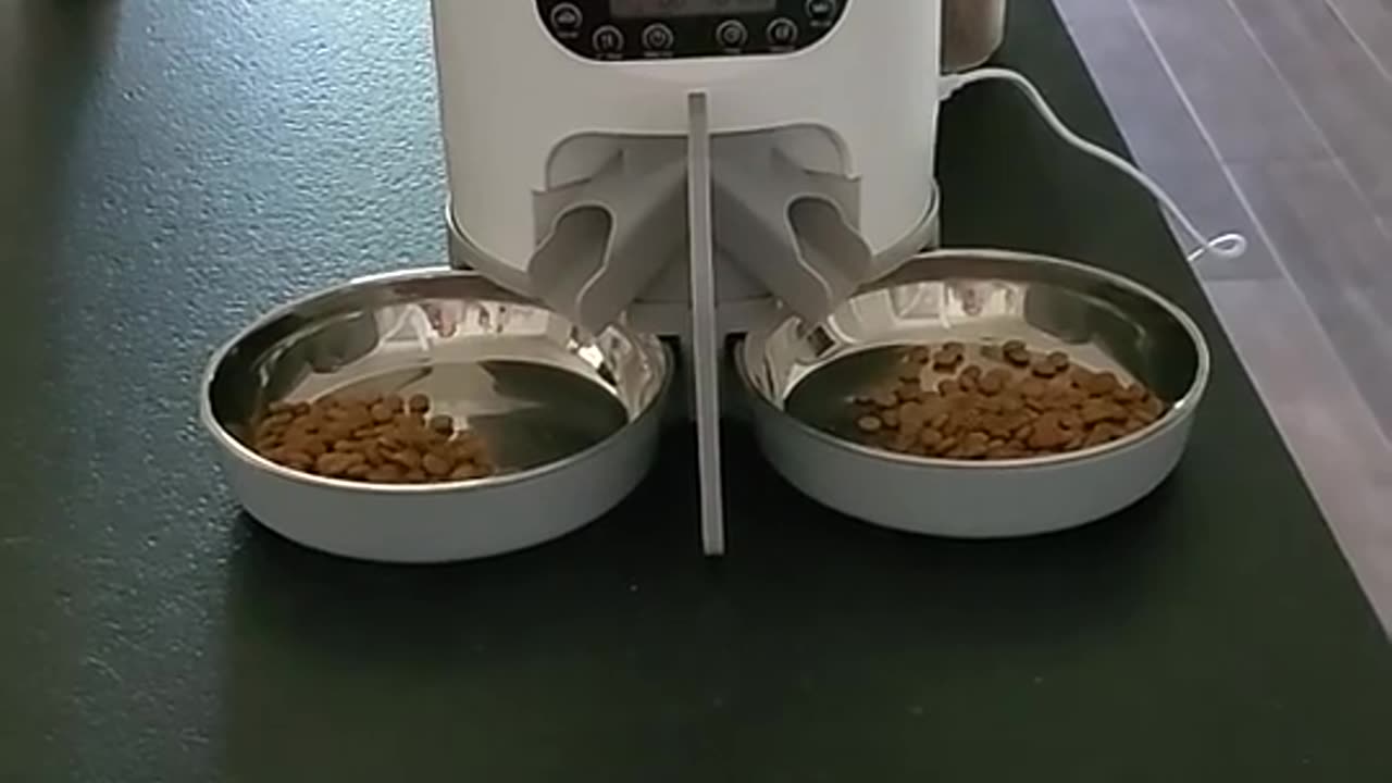 App remote control food dispenser