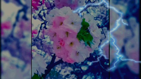 Strength of Nature...