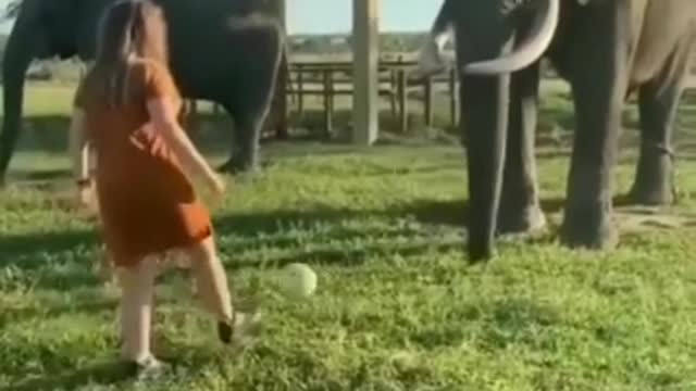 the elephant plays soccer with the girl