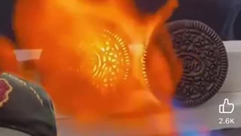 What are you eating?