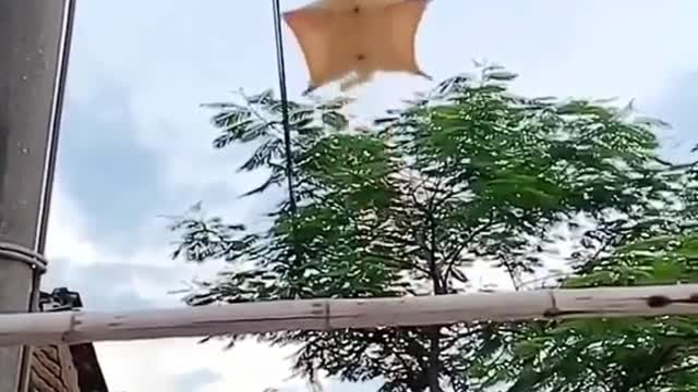 I can’t stop watching this.