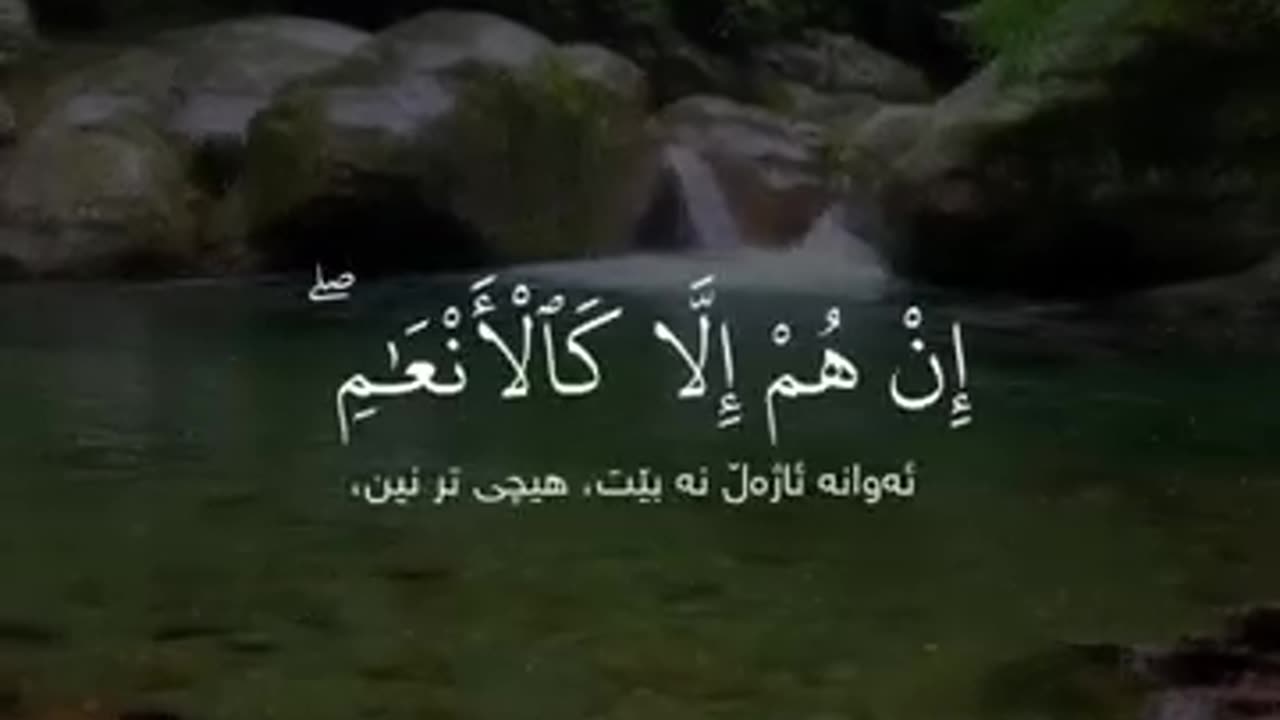 Quran Recitation (15)