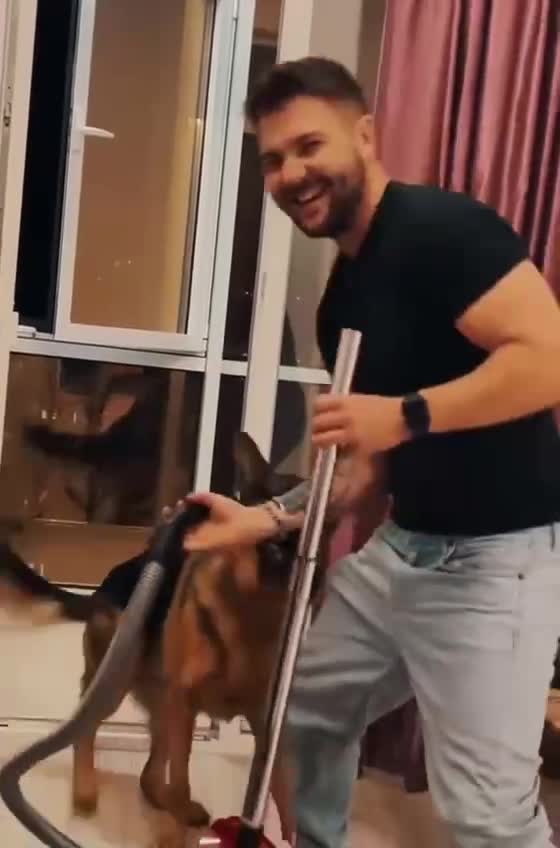 DOG ..Best loyal friend