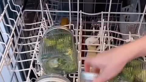 Dishwasher veggies