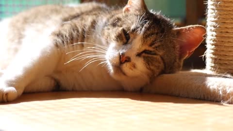 Tips for better sleep