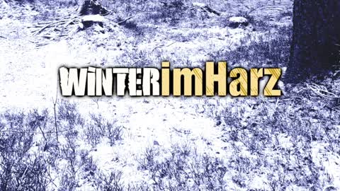 Winter im Harz