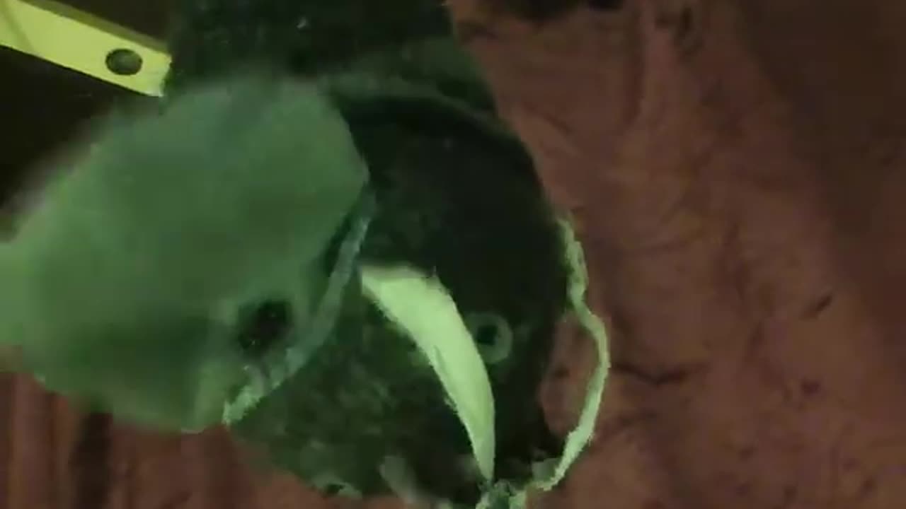 Upsidedown Duck Puppet