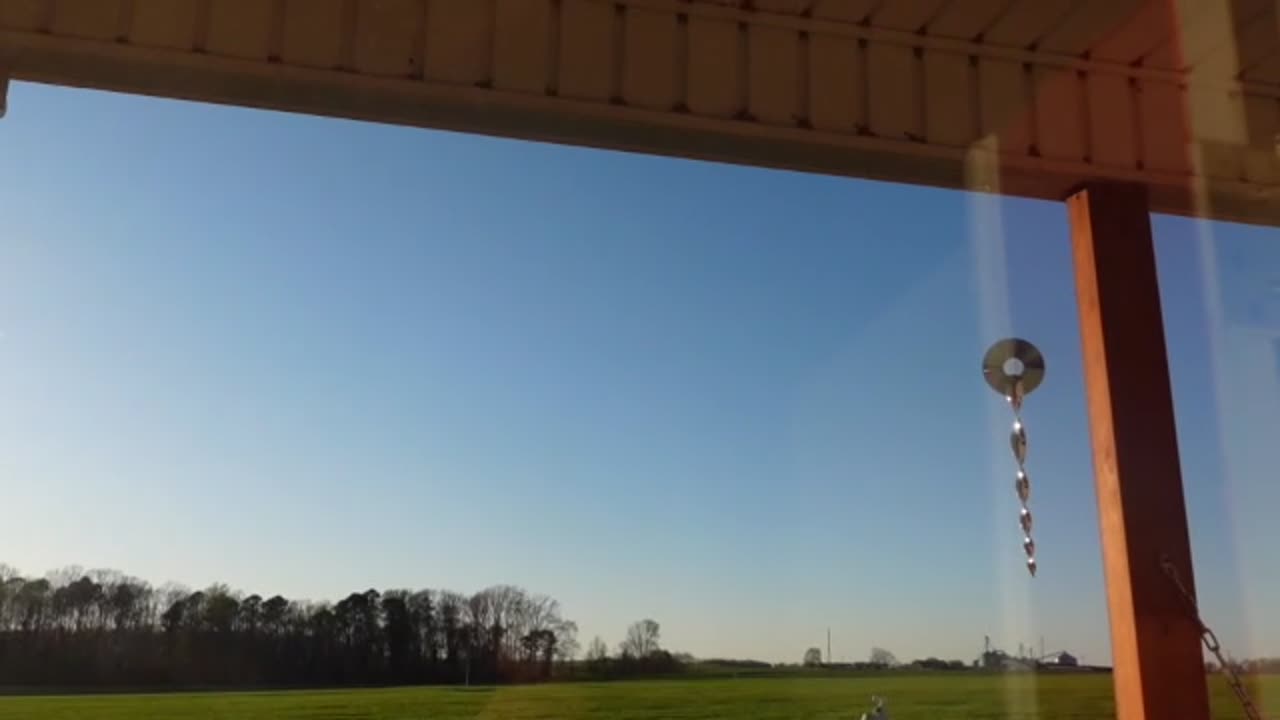 Battle of the Birds. Old CD's, tape & Twrilling things to try & keep brids away. Some deck staining