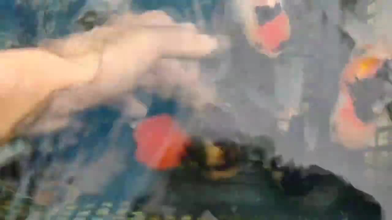 Best quality goldfish collection at goldfish farm-14