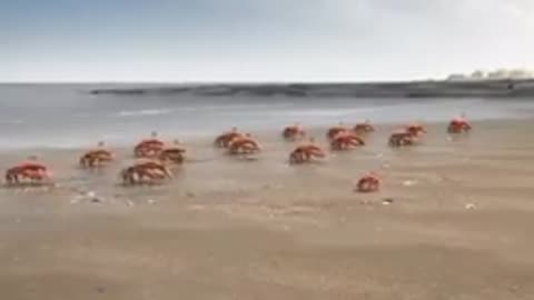 the power of teamwork