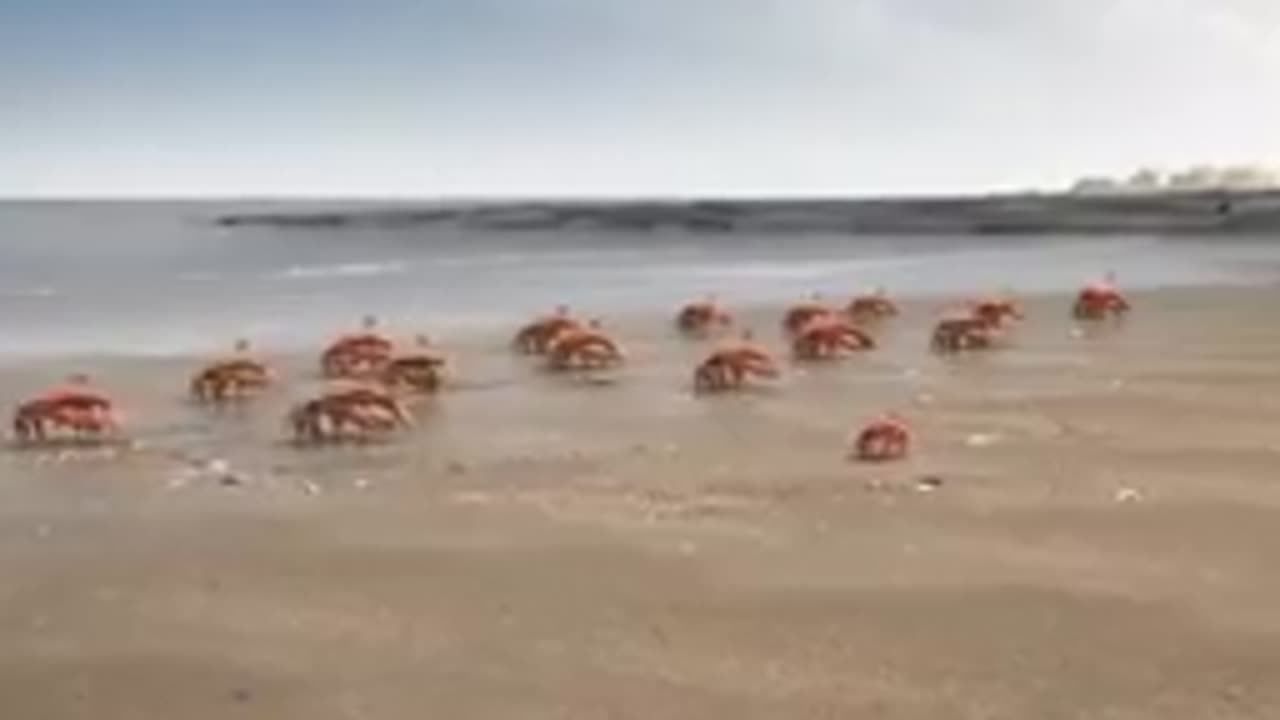 the power of teamwork