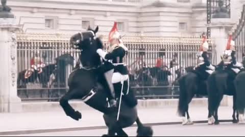 Queen Guard “Fell Down ” From the Horse in Prade