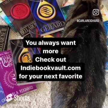 You say, “I’m just going to get one, but …” #AdoptCats #BuyBooks #CantStopAtOne