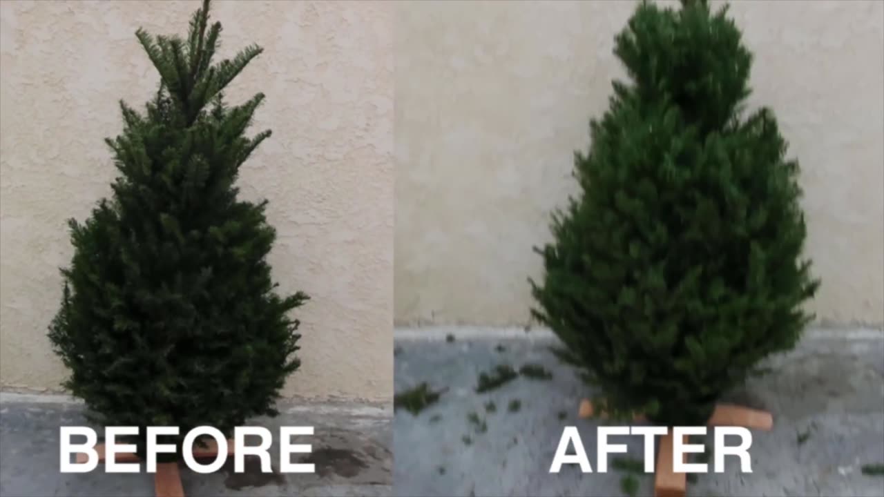 Christmas tree Trimming tutorial