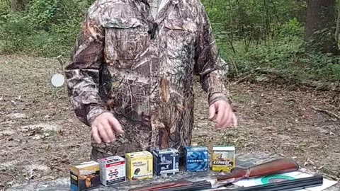 Small game loads.