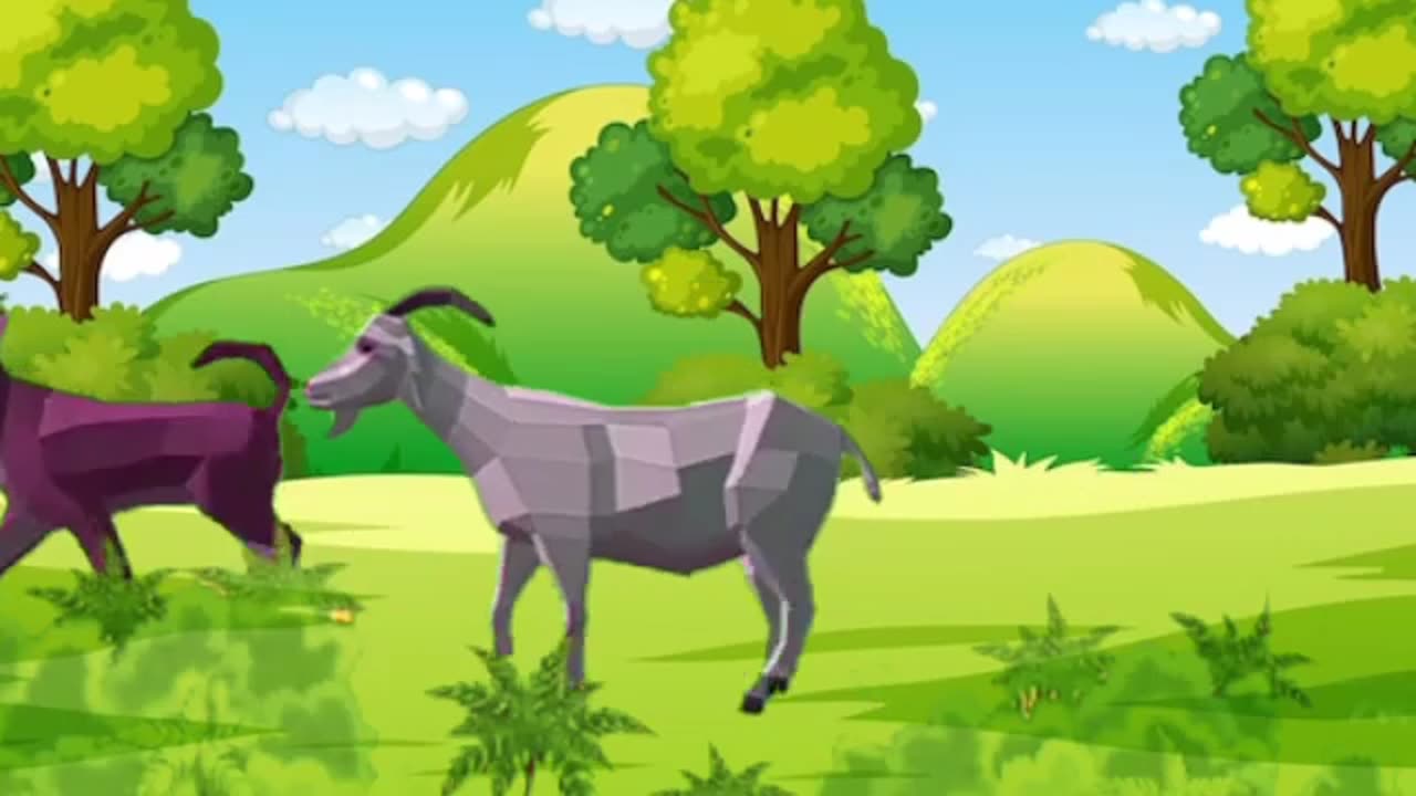 Funny Animal Videos- Large Animal Stampede Green Screen - Wild Animal Adventure