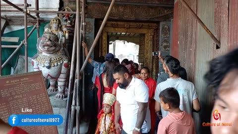 Kumari Puja, Basantapur, 2080, Part II