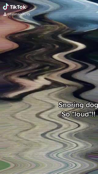 Loud dog