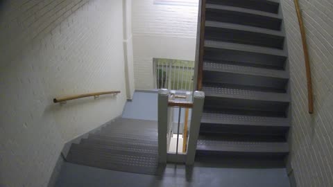 3883FHOB03Stair7_2021-01-06_00h17min54s910ms.mp4