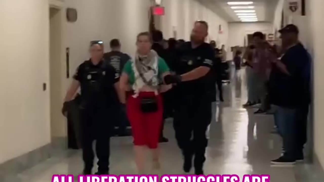 Code Pink Activist Confronts Blinken During Congressional Hearing