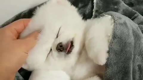 What a cute little baby was coaxed to sleep