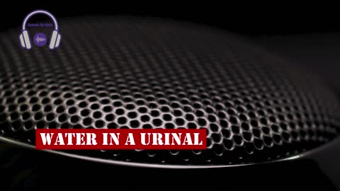 SFX - Water In a Urinal