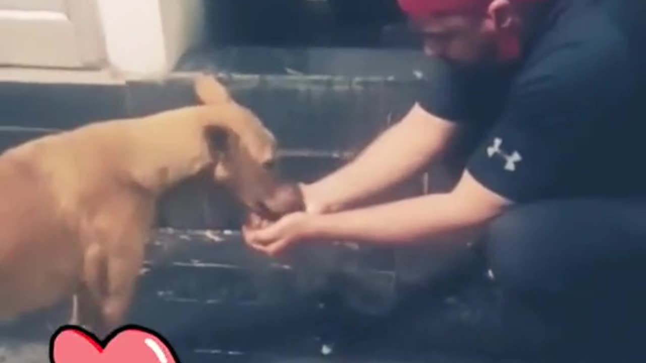 How are you feeling this morning 🌅🌅🌅to get a pound to