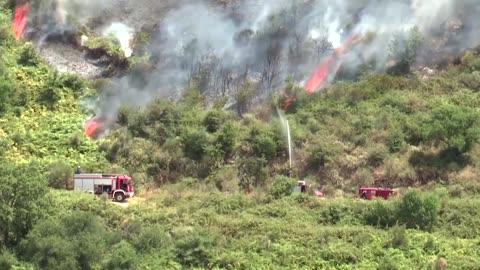 Wildfires also ravage Greece's Corfu island