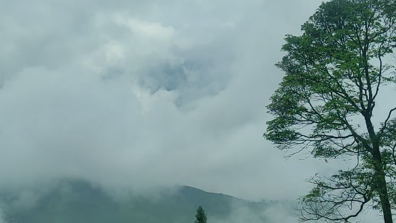 View place Darjeeling