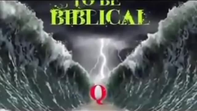 네이비 씰 팀 6 video 2