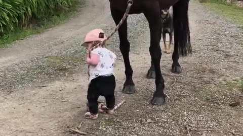 Little girl leads horse