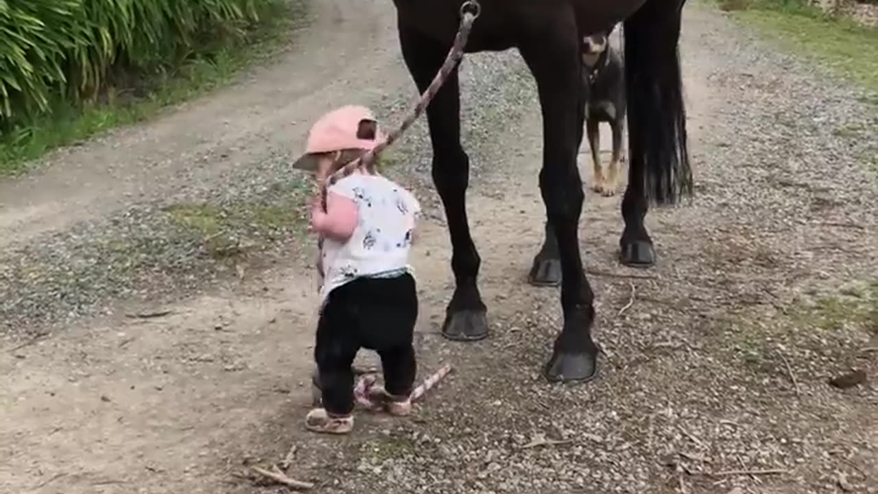 Little girl leads horse