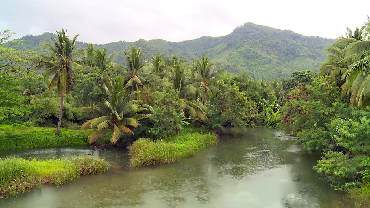 Rainy Weather Nature View