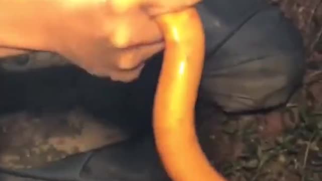 Eel fishing 😲 Catch Eels From Hole Using Hook 😍 RELAX FOR LIFE #6 #Shorts​