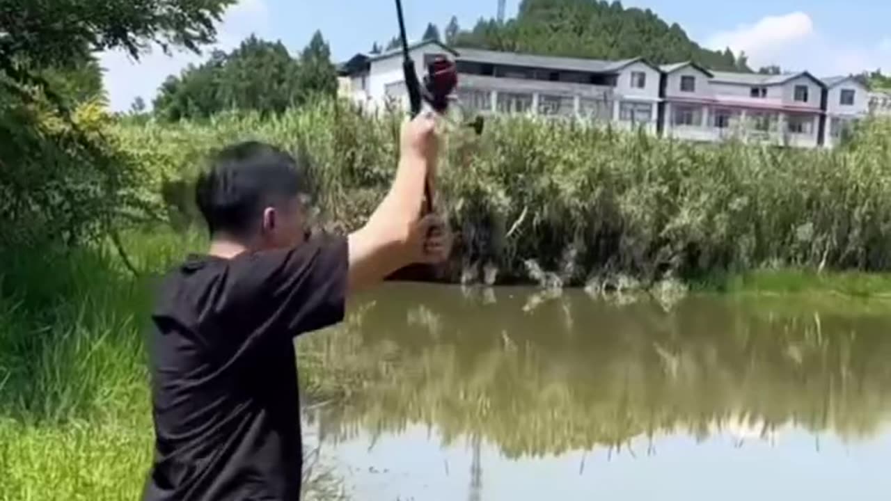 Funny video