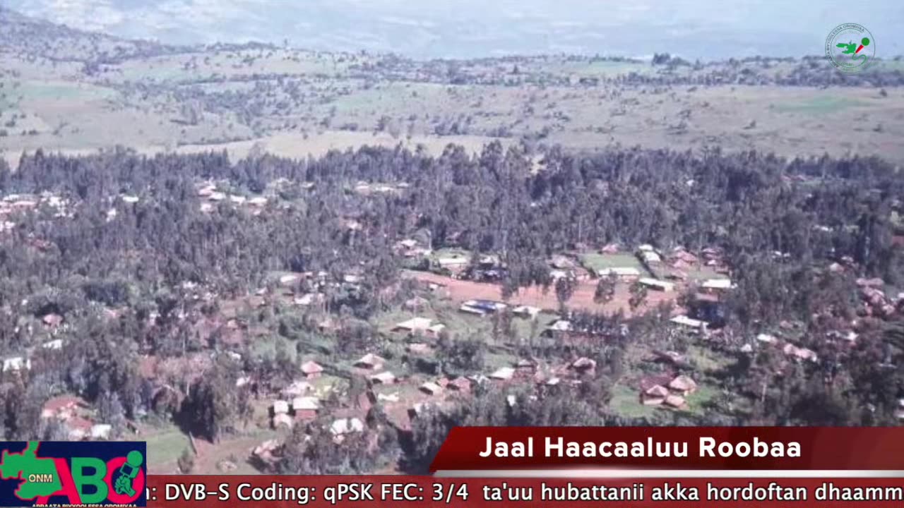 Oduu Waaree ONM-ABO Waxabajjii 10-2024 itti dhiyadhaa!