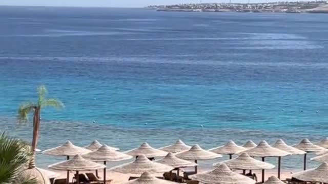 Going swimming at the Red Sea from my room