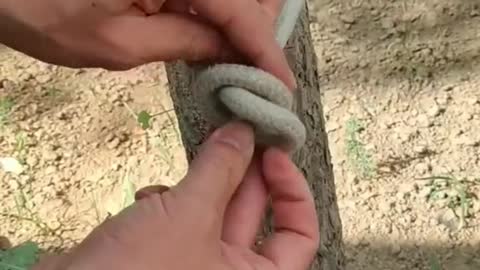 A simple knot 08