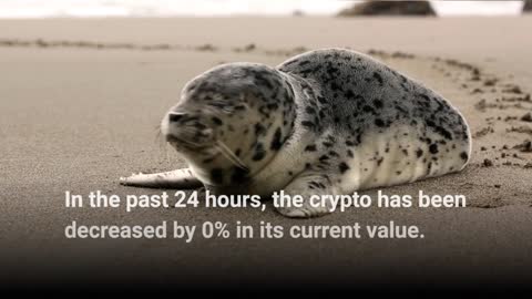 Bitnation Price Prediction 2023, 2025, 2030 XPAT Cryptocurrency Price Prediction