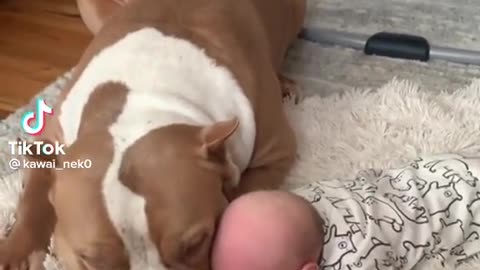 Wow👌🥰 pets are also gifts..watch this.