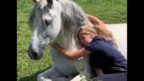 Horse SOO Cute! Cute And funny horse Videos Compilation cute moment #22